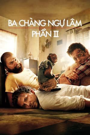 Xem phim Ba Chàng Ngự Lâm 2 - The Hangover 2 Vietsub motphim Phim Mỹ 2011