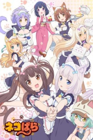 Xem phim Nekopara - Neko Para Vietsub motphim Phim Nhật Bản 2020