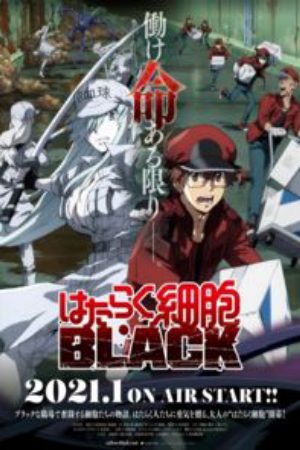 Xem phim Hataraku Saibou Black - Cells at Work CODE BLACK Vietsub motphim Phim Nhật Bản 2021