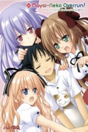 Xem phim Mayoi Neko Overrun Specials - Mayoi Neko Neko Neko Gekijou Mayoi Neko Neko Neko Gekijo Stray Cats Cats Cats Theater Vietsub motphim Phim Nhật Bản 2010