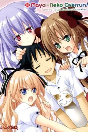 Xem phim Mayoi Neko Overrun -  HD motphim Đang Cập Nhật 2010