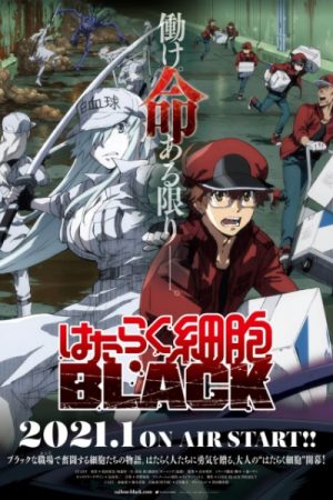 Hataraku Saibou Black (TV)