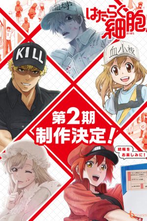 Hataraku Saibou 2nd Season