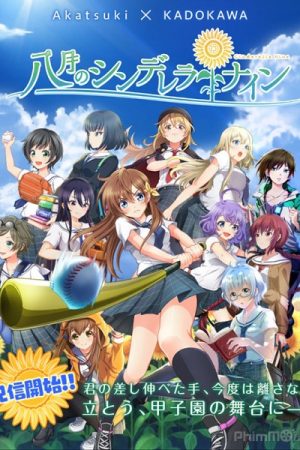 Xem phim Hachigatsu no Cinderella Nine -  HD motphim Đang Cập Nhật 2019