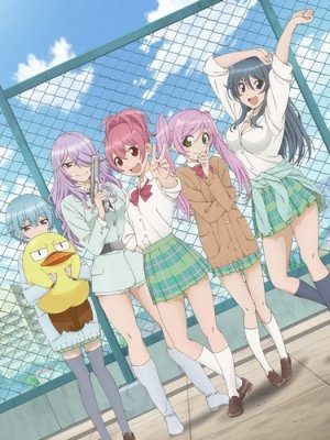 Sabagebu Specials